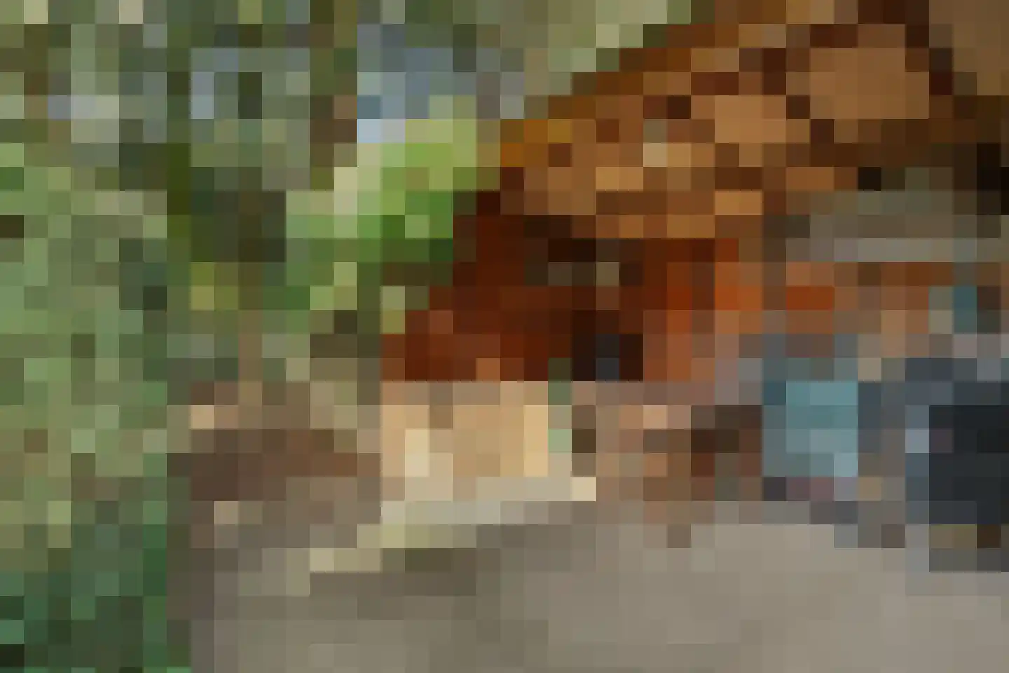 Ernest Claeshof 2 Hilvarenbeek thumbnail 35