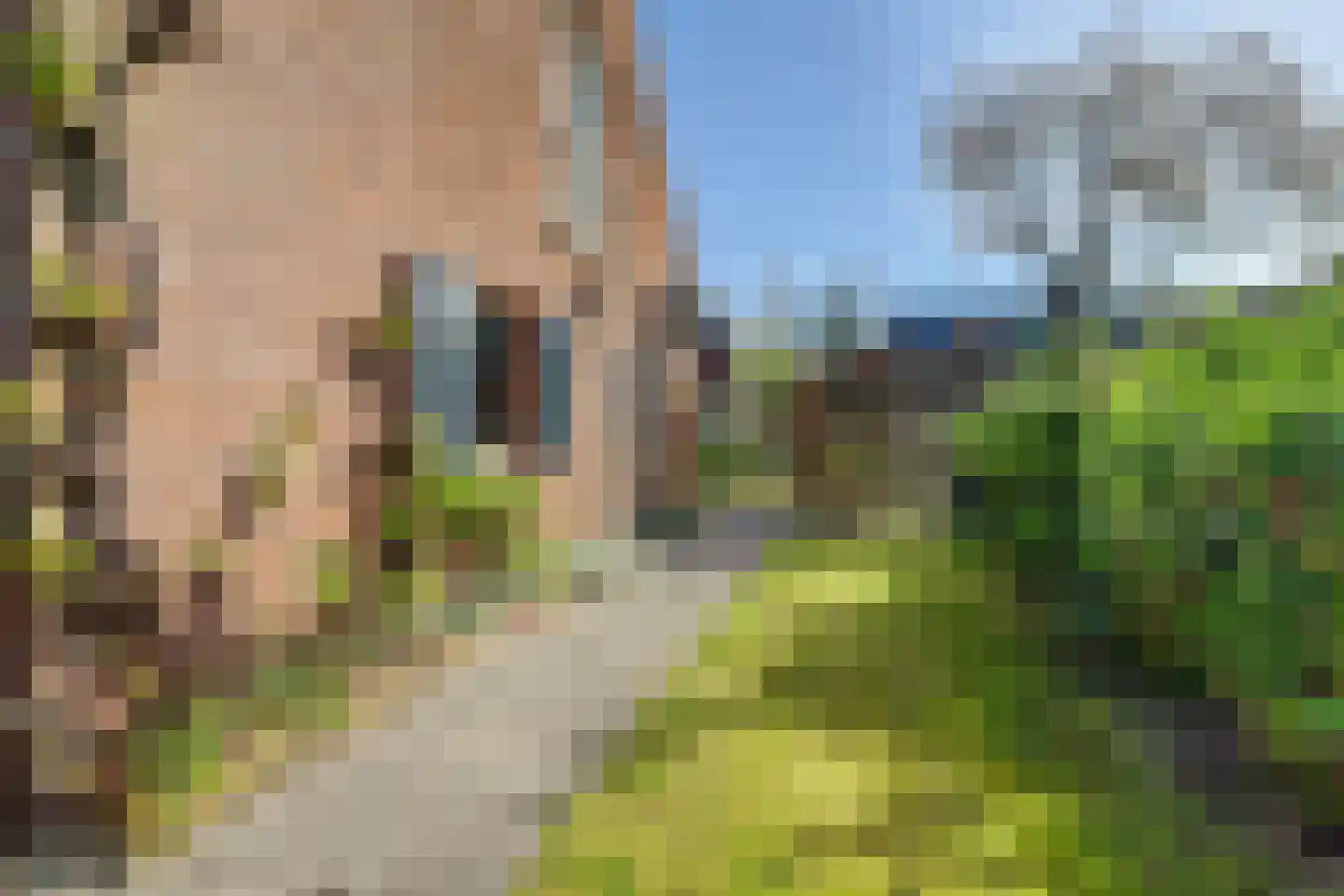 Ernest Claeshof 2 Hilvarenbeek thumbnail 37