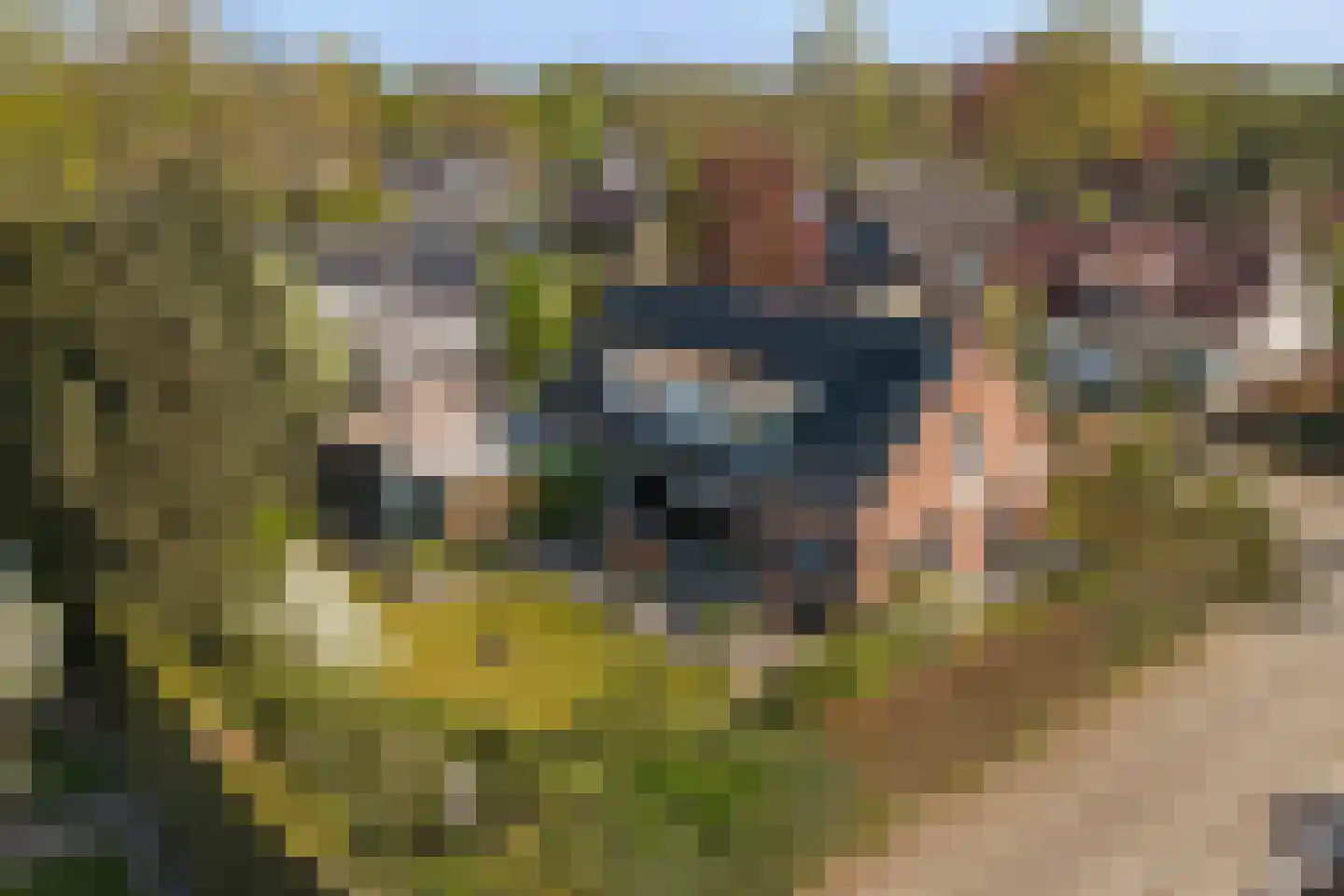 Ernest Claeshof 2 Hilvarenbeek thumbnail 5