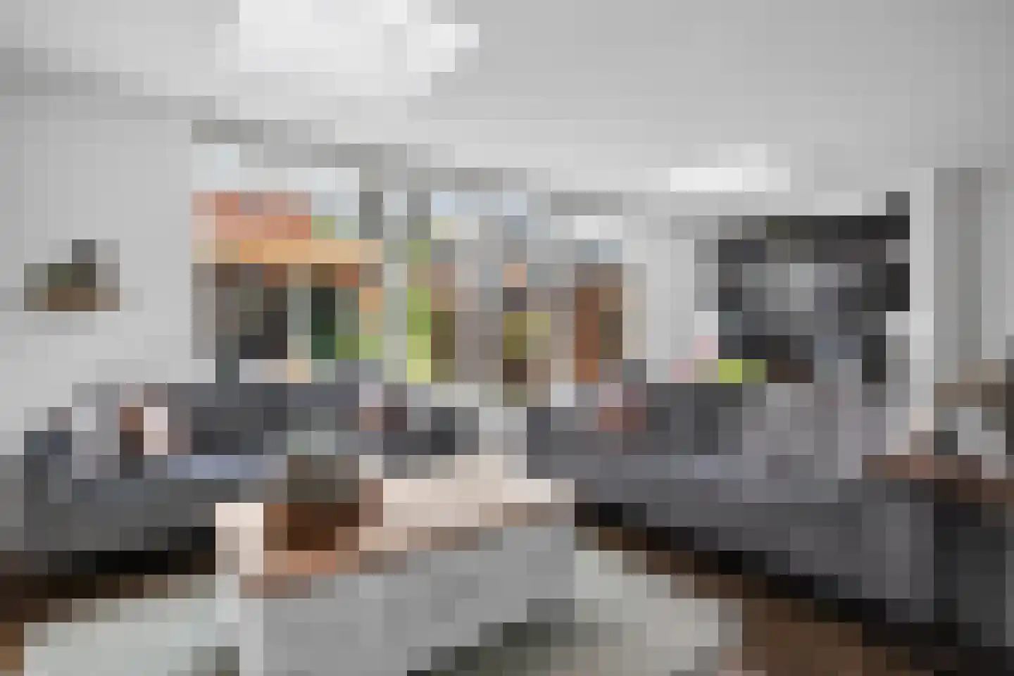 Ernest Claeshove 38 Nieuwegein thumbnail 6