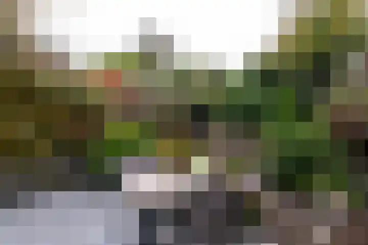 Ernest Claespad 29 Rotterdam thumbnail 37