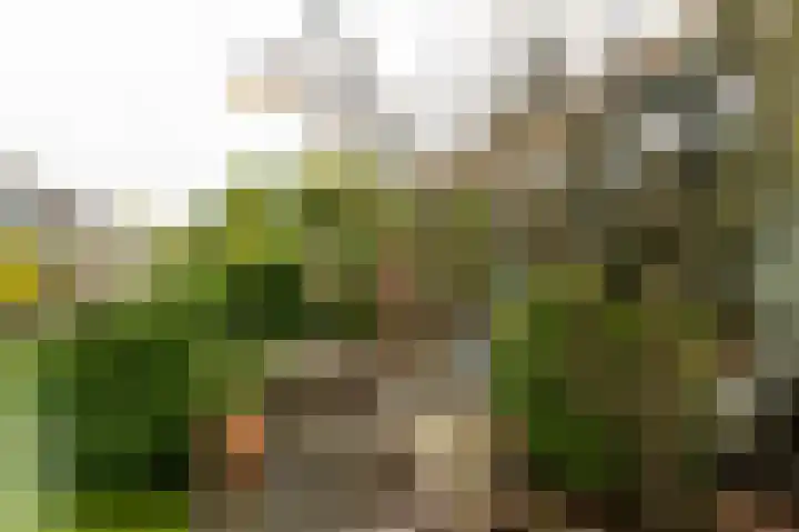 Ernest Claespad 29 Rotterdam thumbnail 39