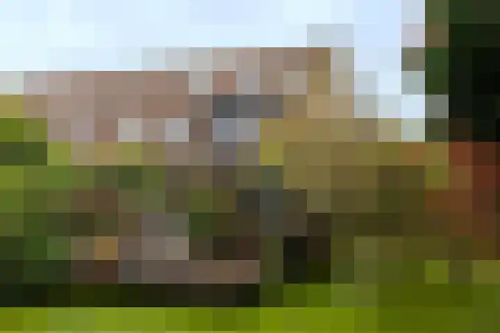 Ernest Claespad 29 Rotterdam thumbnail 47