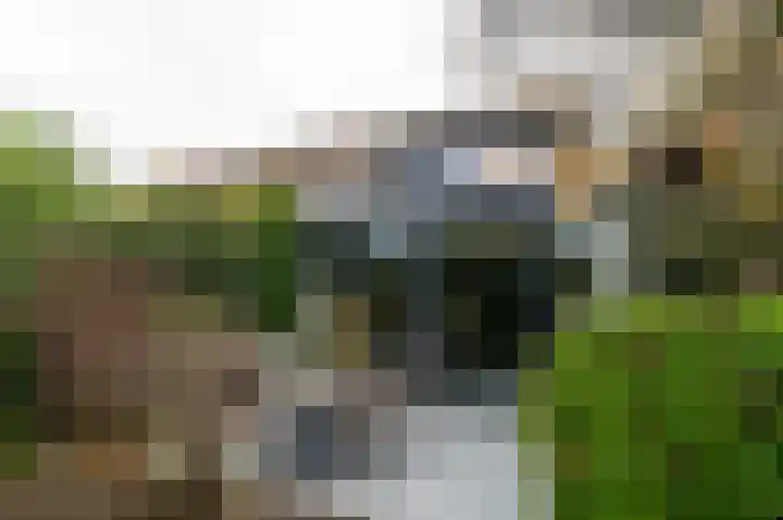 Ernest Claespad 29 Rotterdam thumbnail 5