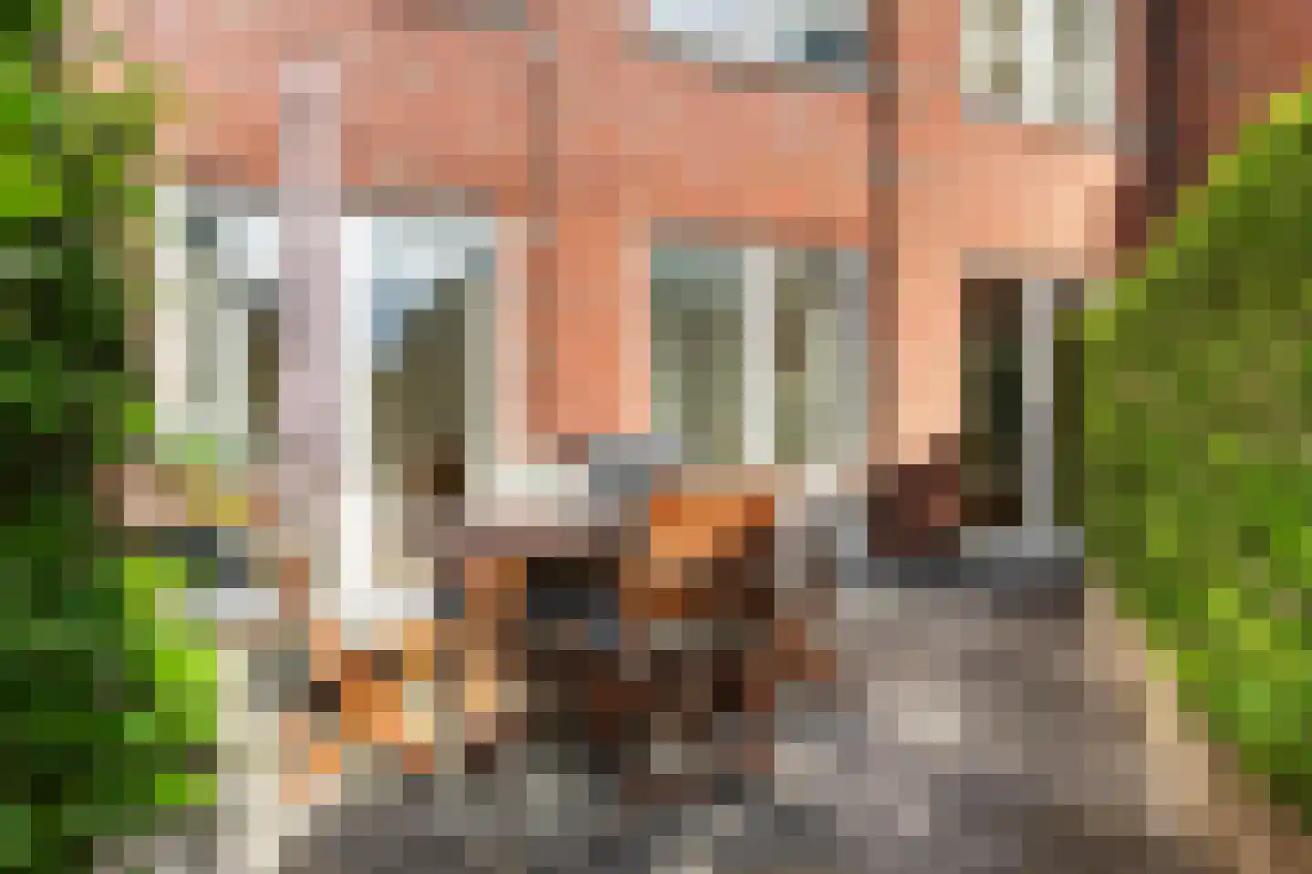 Ernest Groosmanplein 4 Rotterdam thumbnail 33