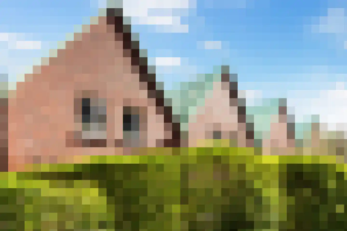 Ernest Groosmanplein 4 Rotterdam thumbnail 36