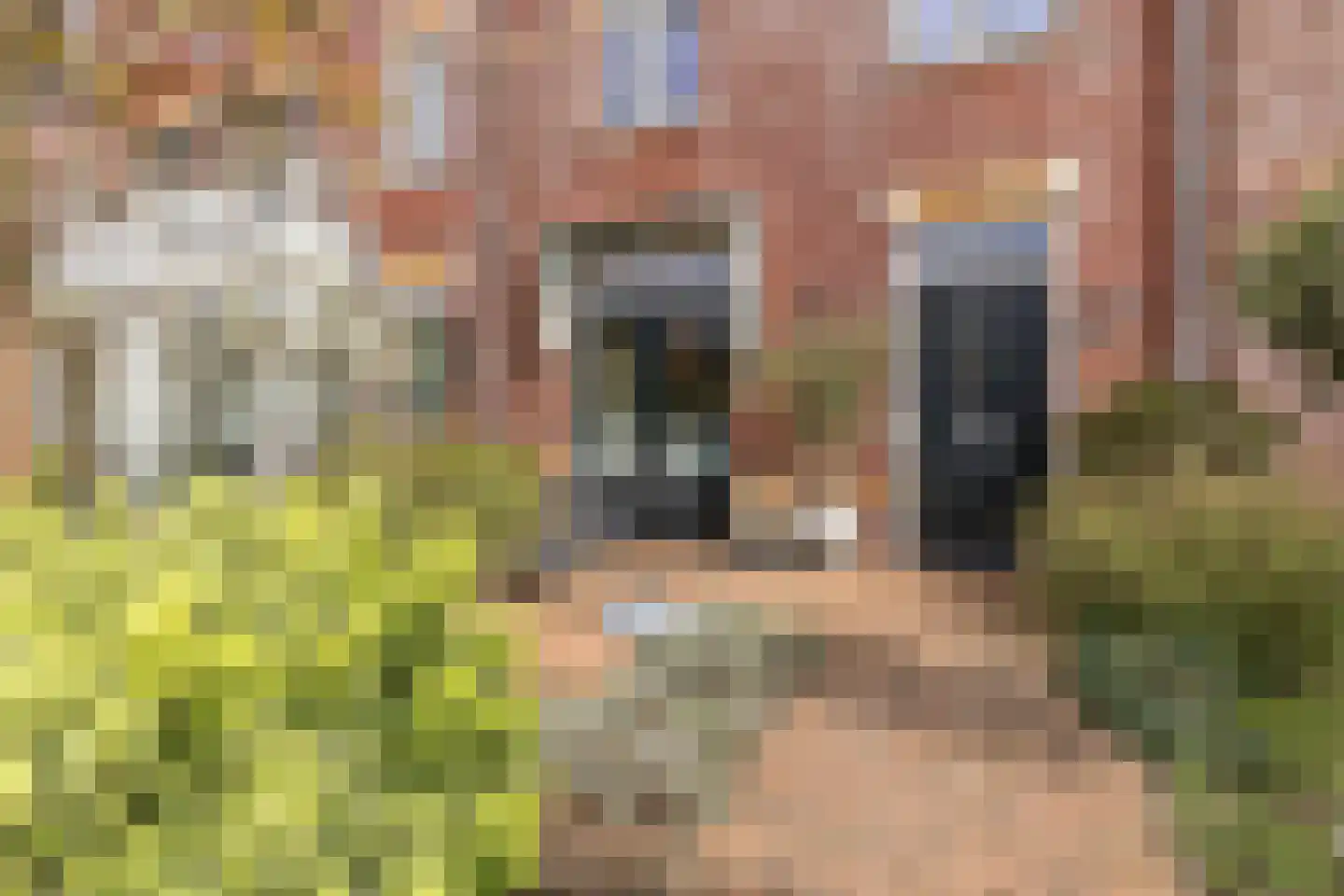 Ernest Hemingwaypark 34 Den Haag thumbnail 23