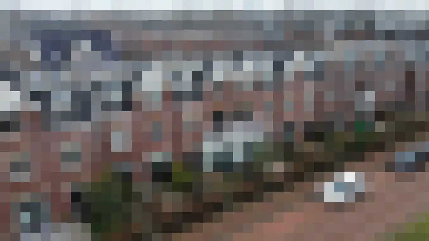 Ernest Hemingwaypark 34 Den Haag thumbnail 61