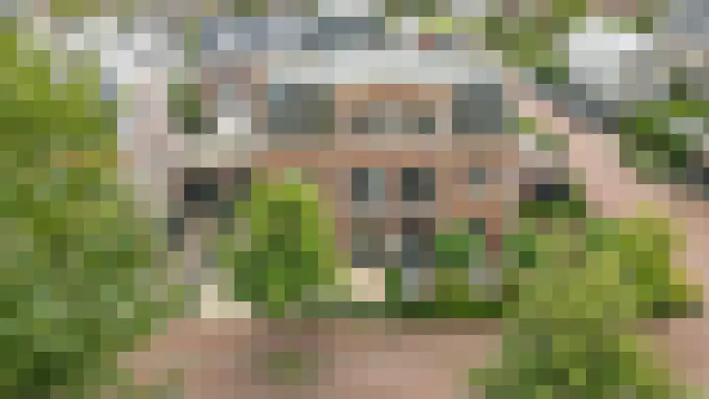 Ernest Hemingwaypark 50 Den Haag thumbnail 65