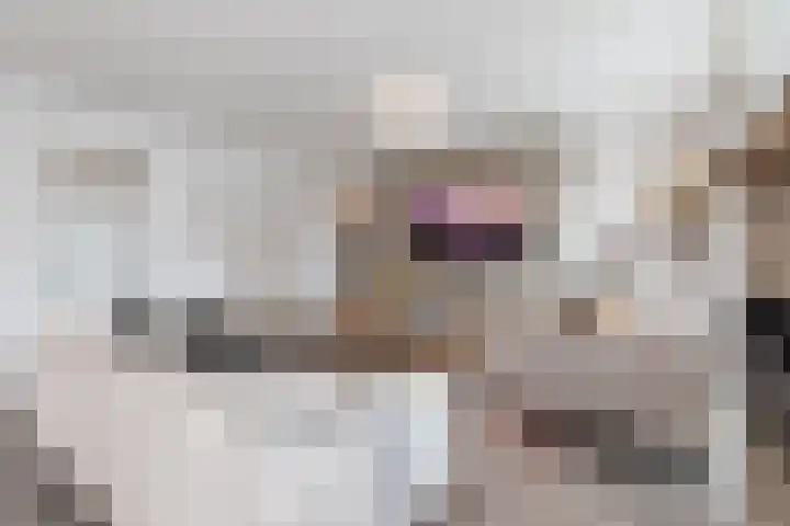 Ernest Waltonstraat 5 Almere foto 3