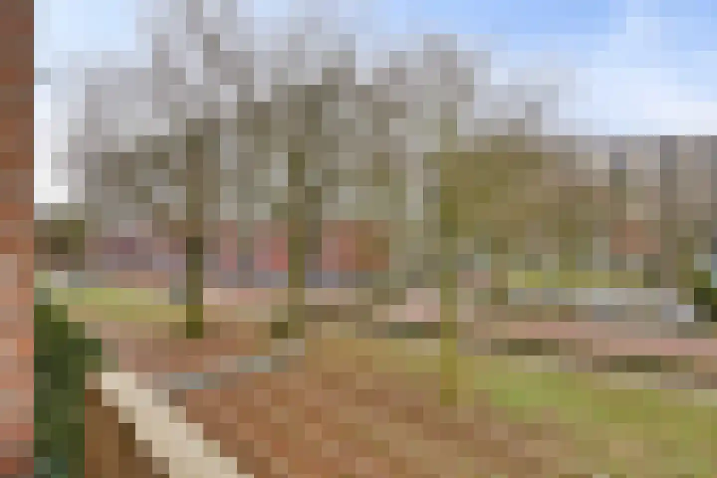 Ernst Bagelaarstraat 46 Rosmalen thumbnail 20