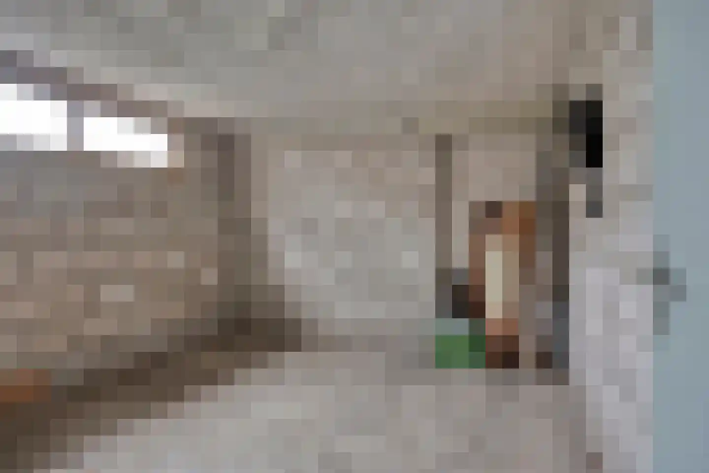 Ernst Bagelaarstraat 46 Rosmalen thumbnail 22