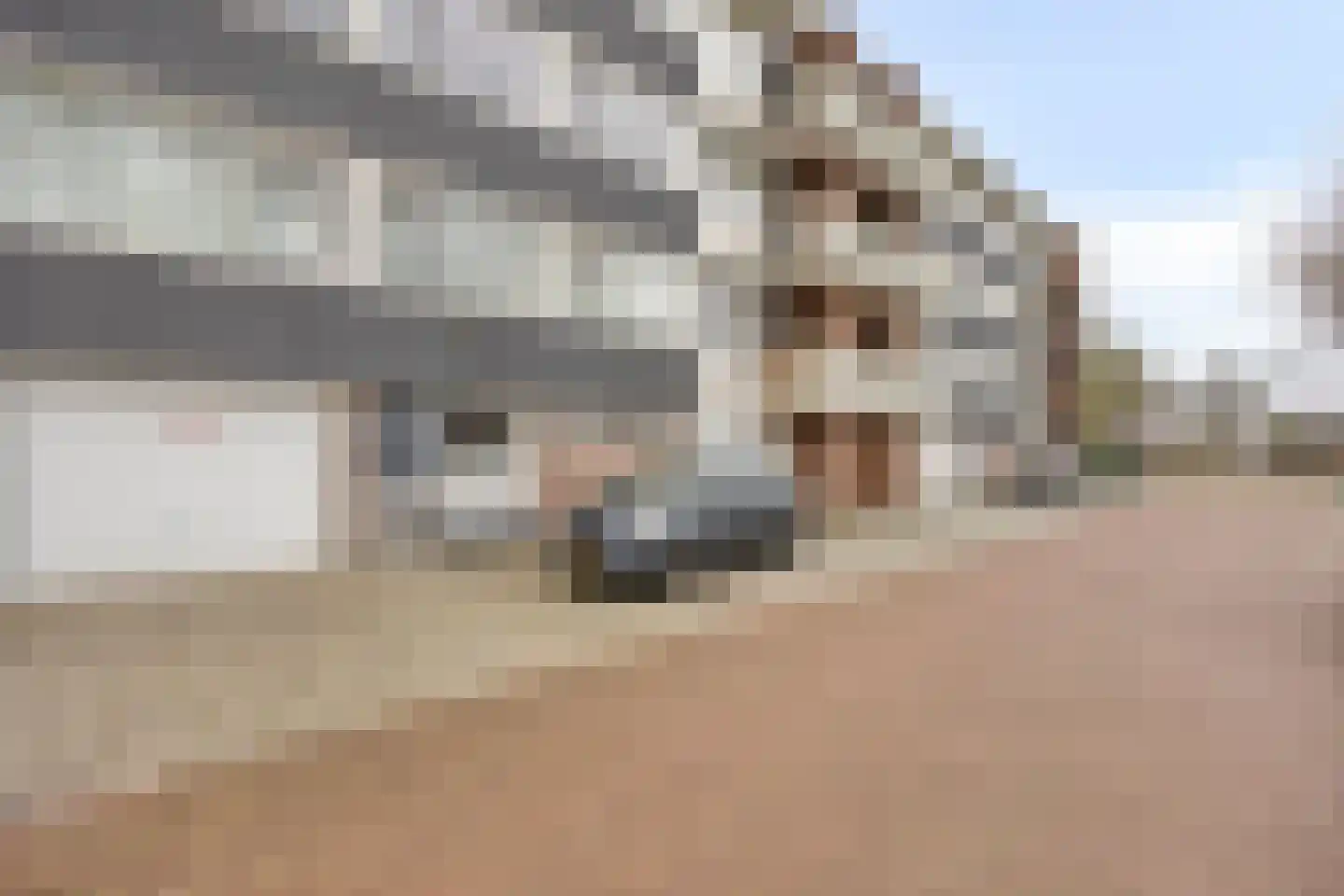 Ernst Bagelaarstraat 46 Rosmalen thumbnail 23