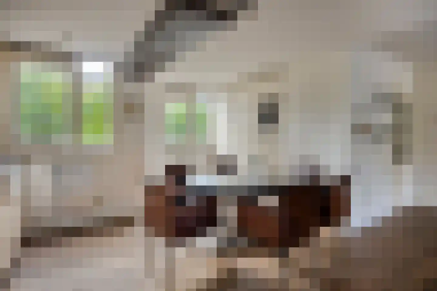 Ernst Barlachrade 11 Capelle aan den IJssel thumbnail 17