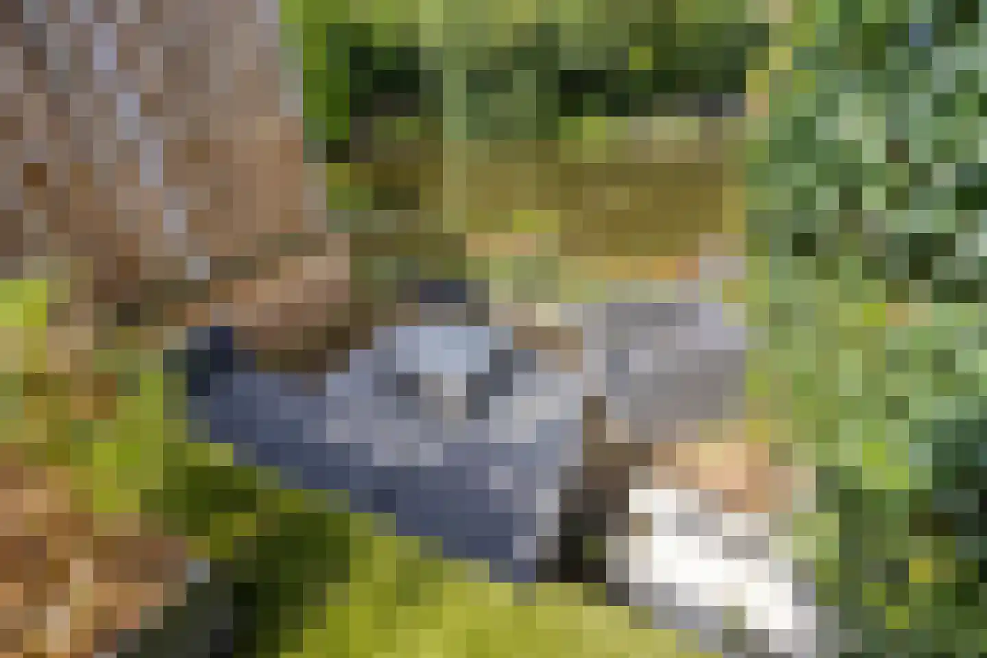 Ernst Barlachrade 11 Capelle aan den IJssel thumbnail 35