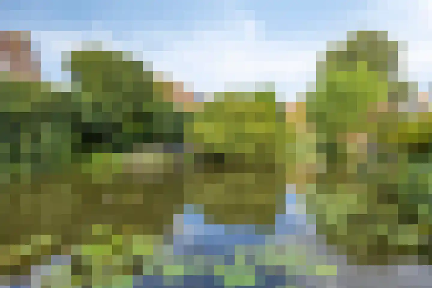 Ernst Barlachrade 11 Capelle aan den IJssel thumbnail 36