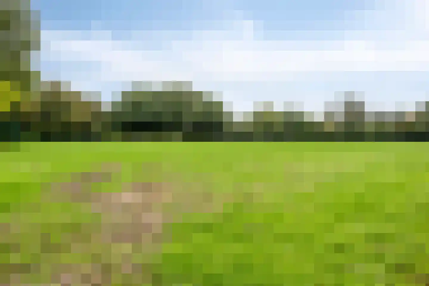 Ernst Barlachrade 11 Capelle aan den IJssel thumbnail 39