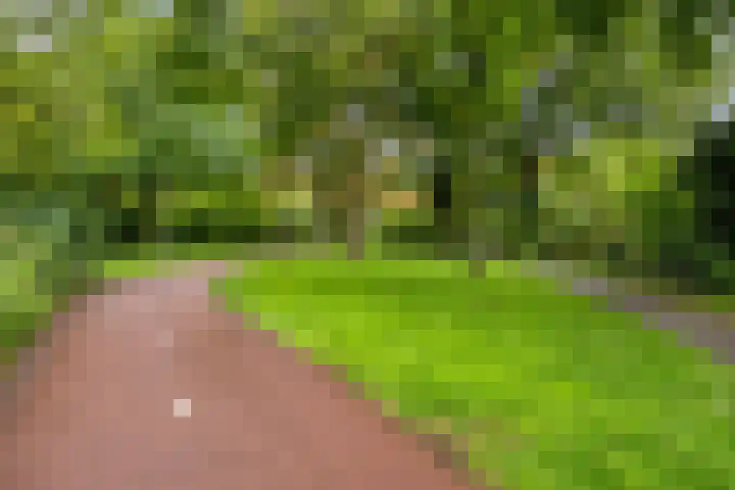 Ernst Barlachrade 11 Capelle aan den IJssel thumbnail 40