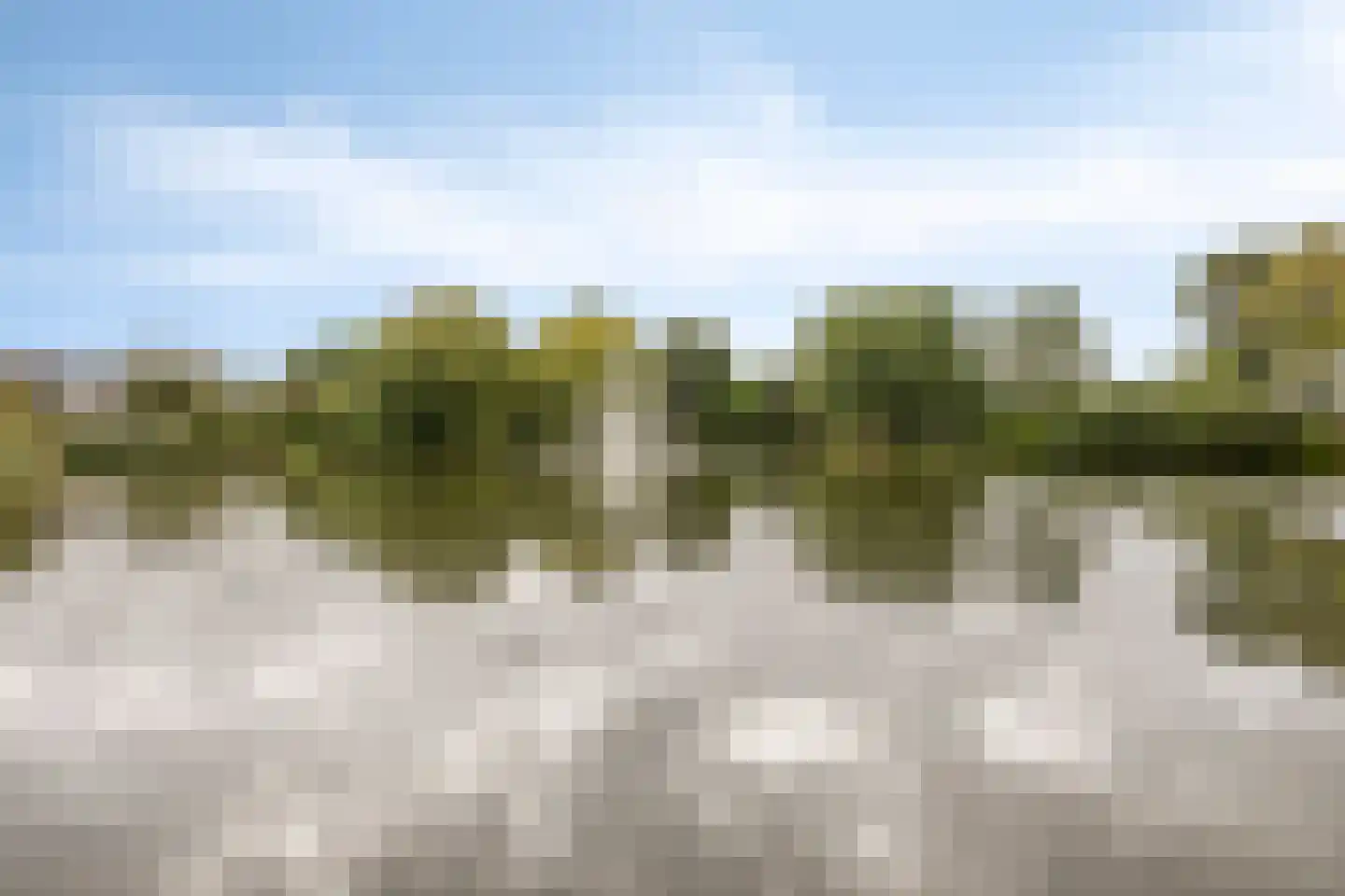 Ernst Barlachrade 11 Capelle aan den IJssel thumbnail 42