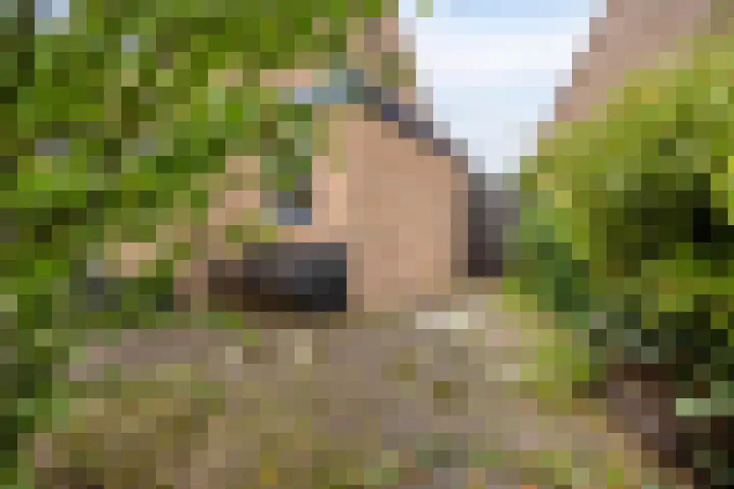 Ernst Barlachrade 11 Capelle aan den IJssel thumbnail 5