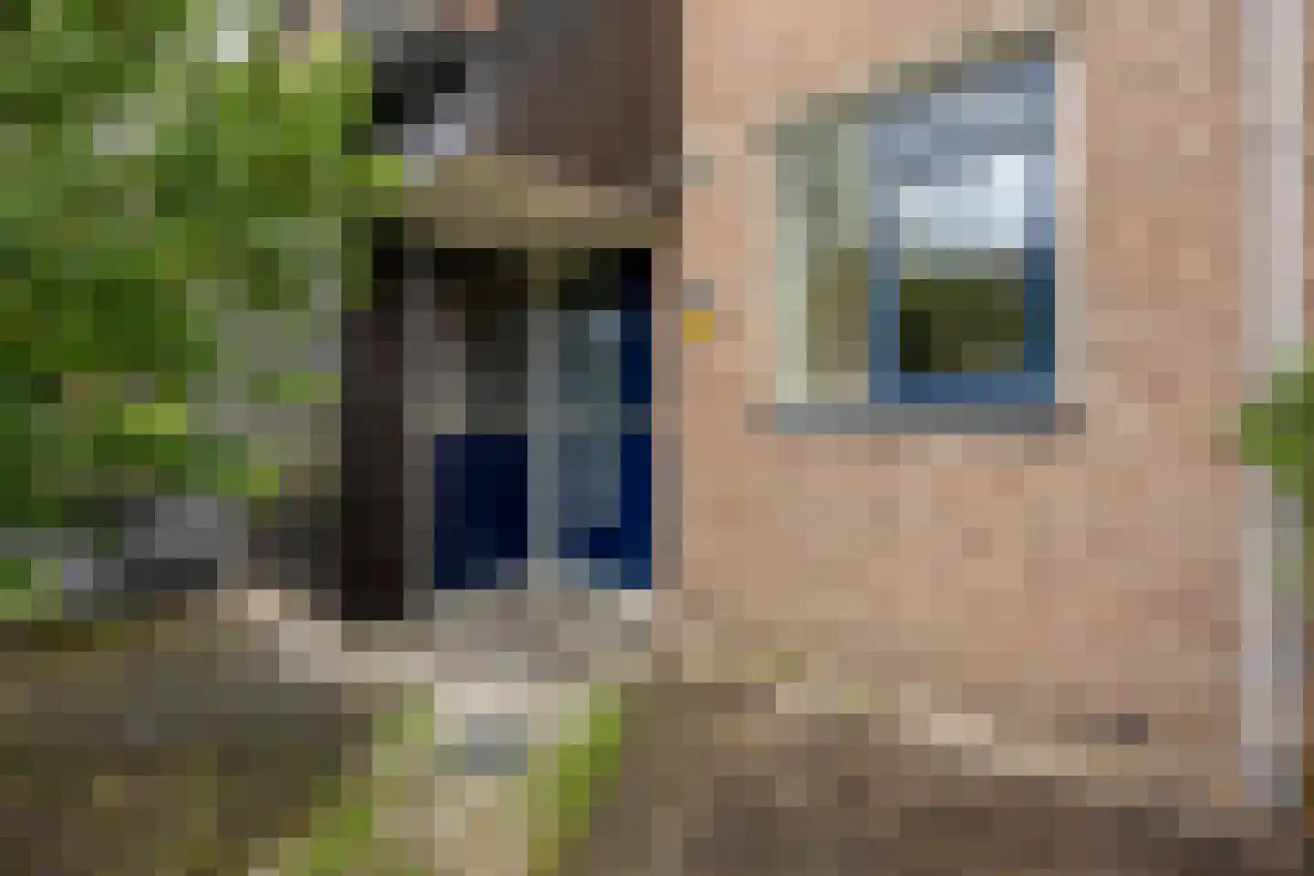 Ernst Barlachrade 11 Capelle aan den IJssel thumbnail 6