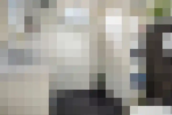 Ernst Barlachrade 15 Capelle aan den IJssel thumbnail 17