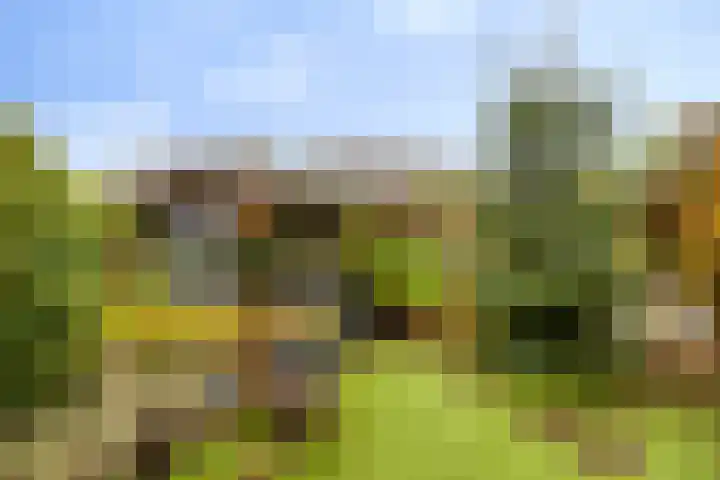 Ernst Barlachrade 15 Capelle aan den IJssel thumbnail 24