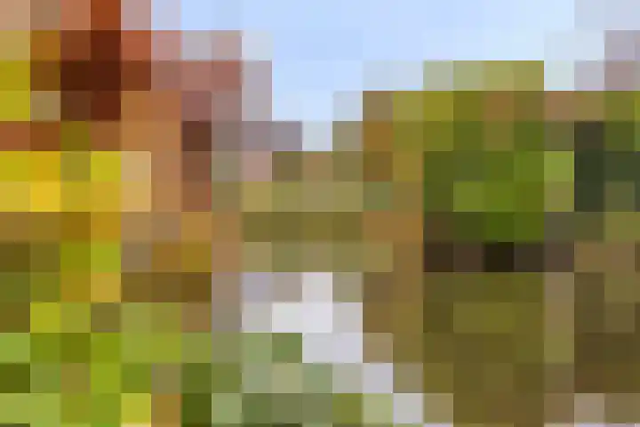 Ernst Barlachrade 15 Capelle aan den IJssel thumbnail 27