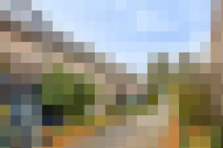 Ernst Barlachrade 15 Capelle aan den IJssel thumbnail 6