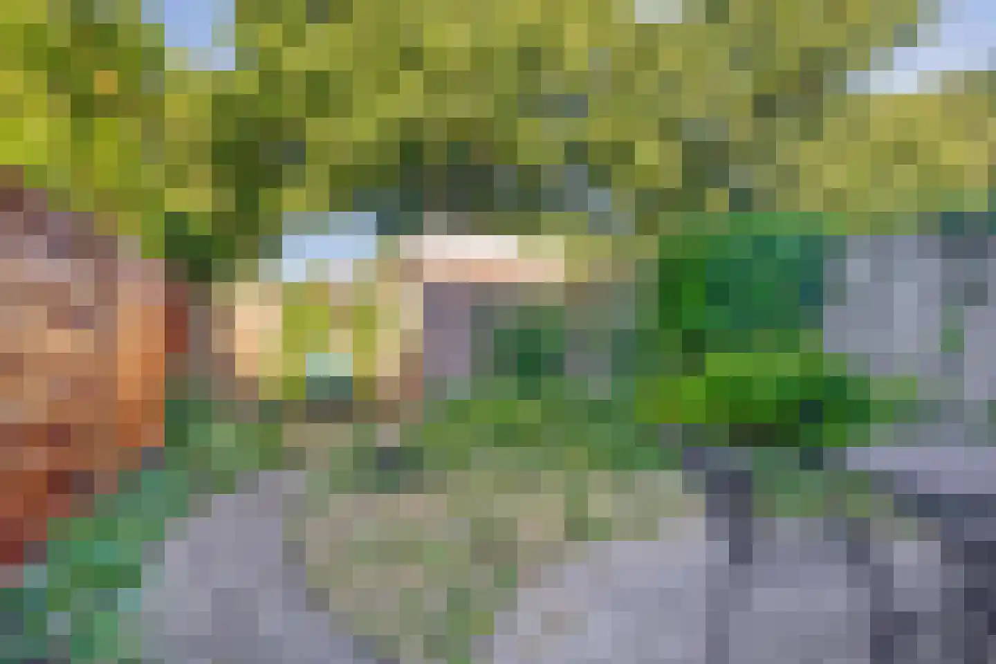 Ernst Barlachrade 22 Capelle aan den IJssel thumbnail 27