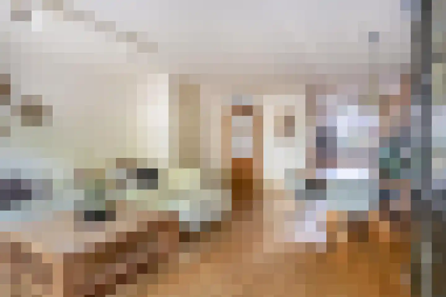 Ernst Barlachrade 22 Capelle aan den IJssel thumbnail 9