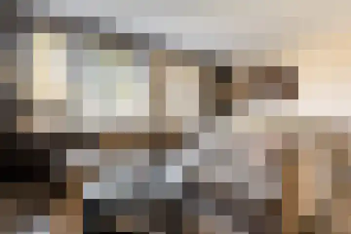 Ernst Barlachrade 31 Capelle aan den IJssel thumbnail 10