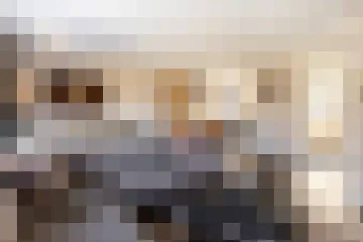 Ernst Barlachrade 31 Capelle aan den IJssel thumbnail 11