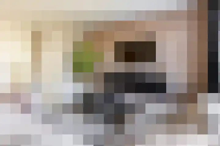 Ernst Barlachrade 31 Capelle aan den IJssel thumbnail 12