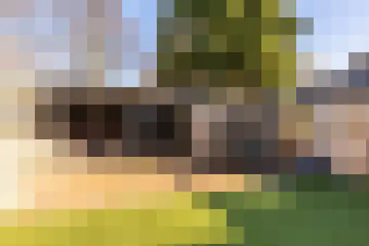 Ernst Barlachrade 31 Capelle aan den IJssel thumbnail 16