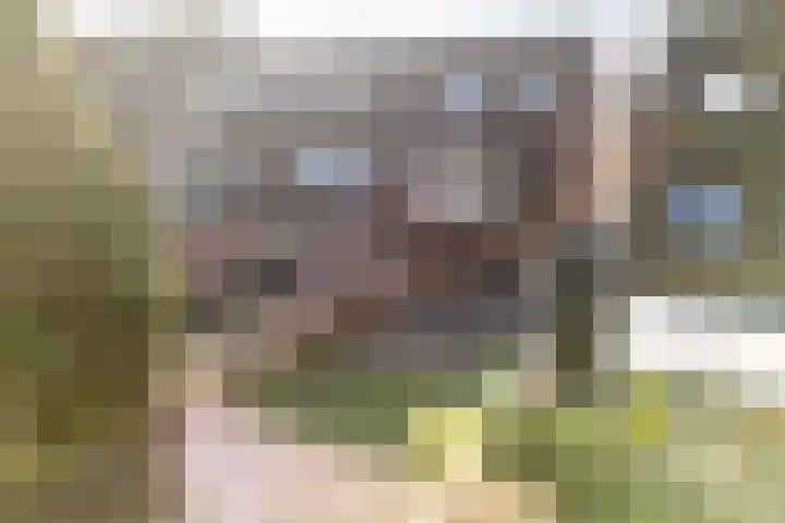 Ernst Barlachrade 31 Capelle aan den IJssel thumbnail 17