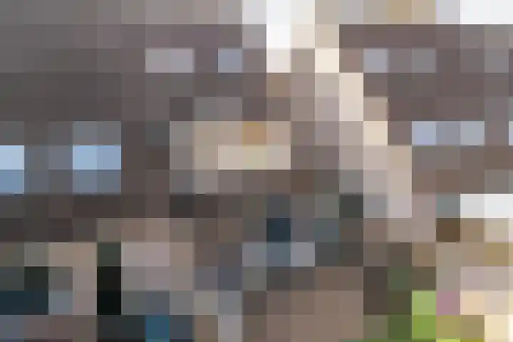 Ernst Barlachrade 31 Capelle aan den IJssel thumbnail 45