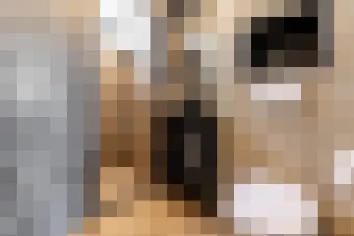 Ernst Barlachrade 31 Capelle aan den IJssel thumbnail 5