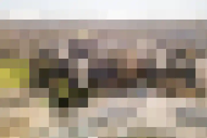 Ernst Barlachrade 31 Capelle aan den IJssel thumbnail 53