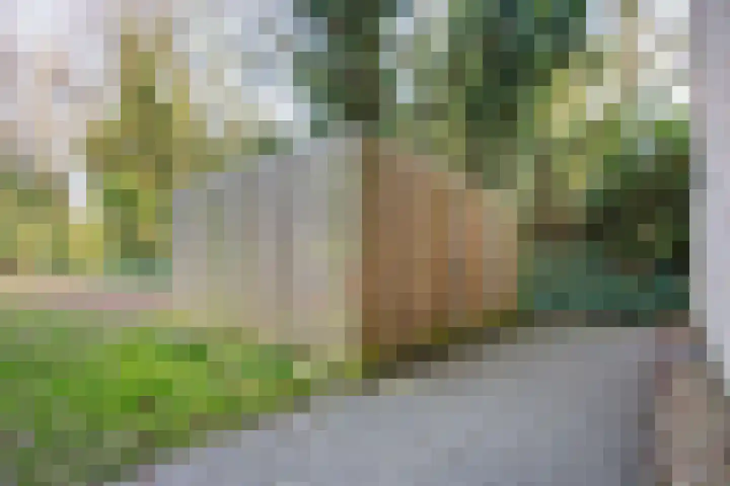 Ernst Casimirlaan 106 Ede thumbnail 25