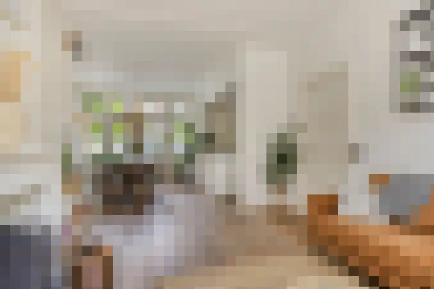 Ernst Casimirlaan 11 Groningen thumbnail 12