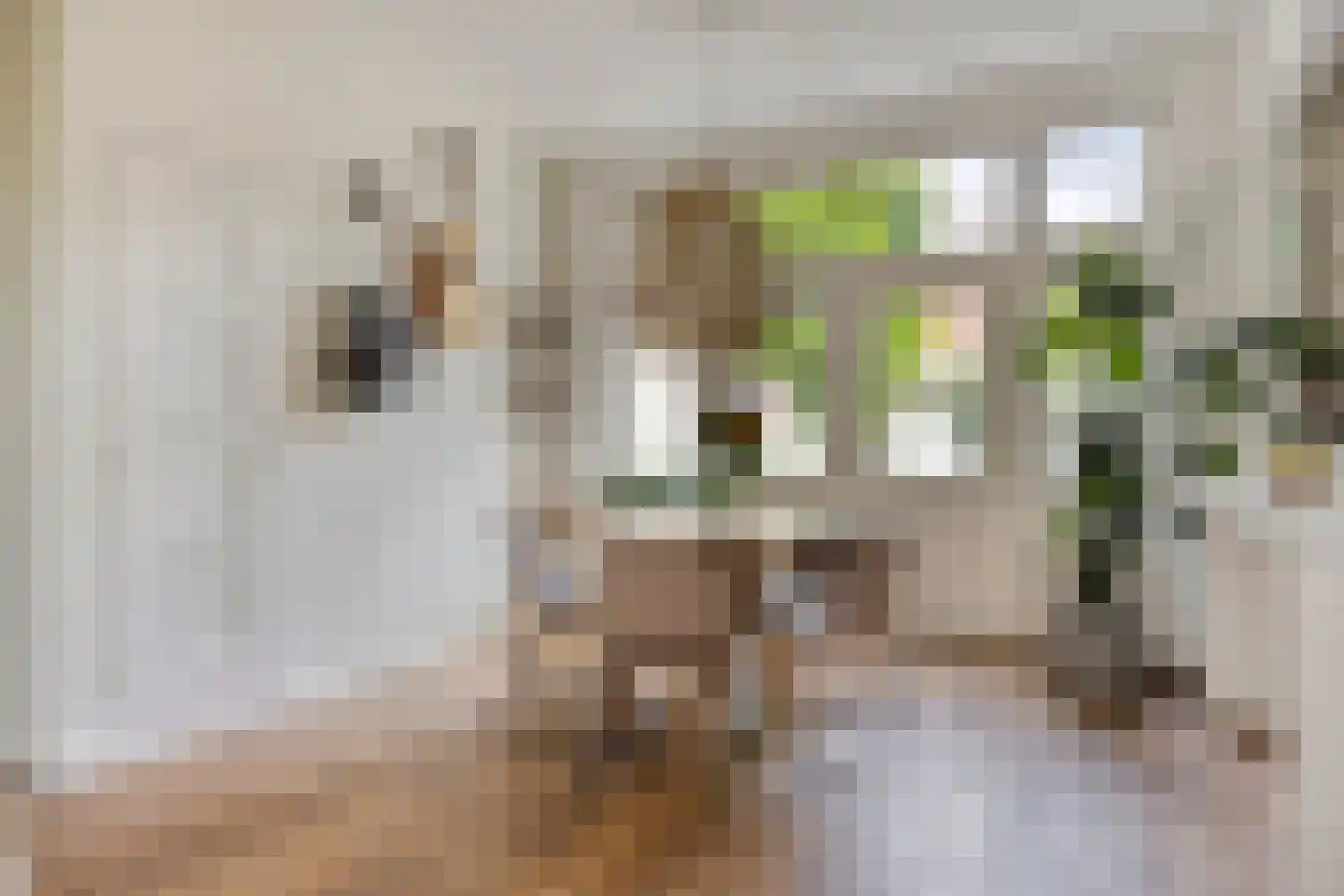 Ernst Casimirlaan 11 Groningen thumbnail 15