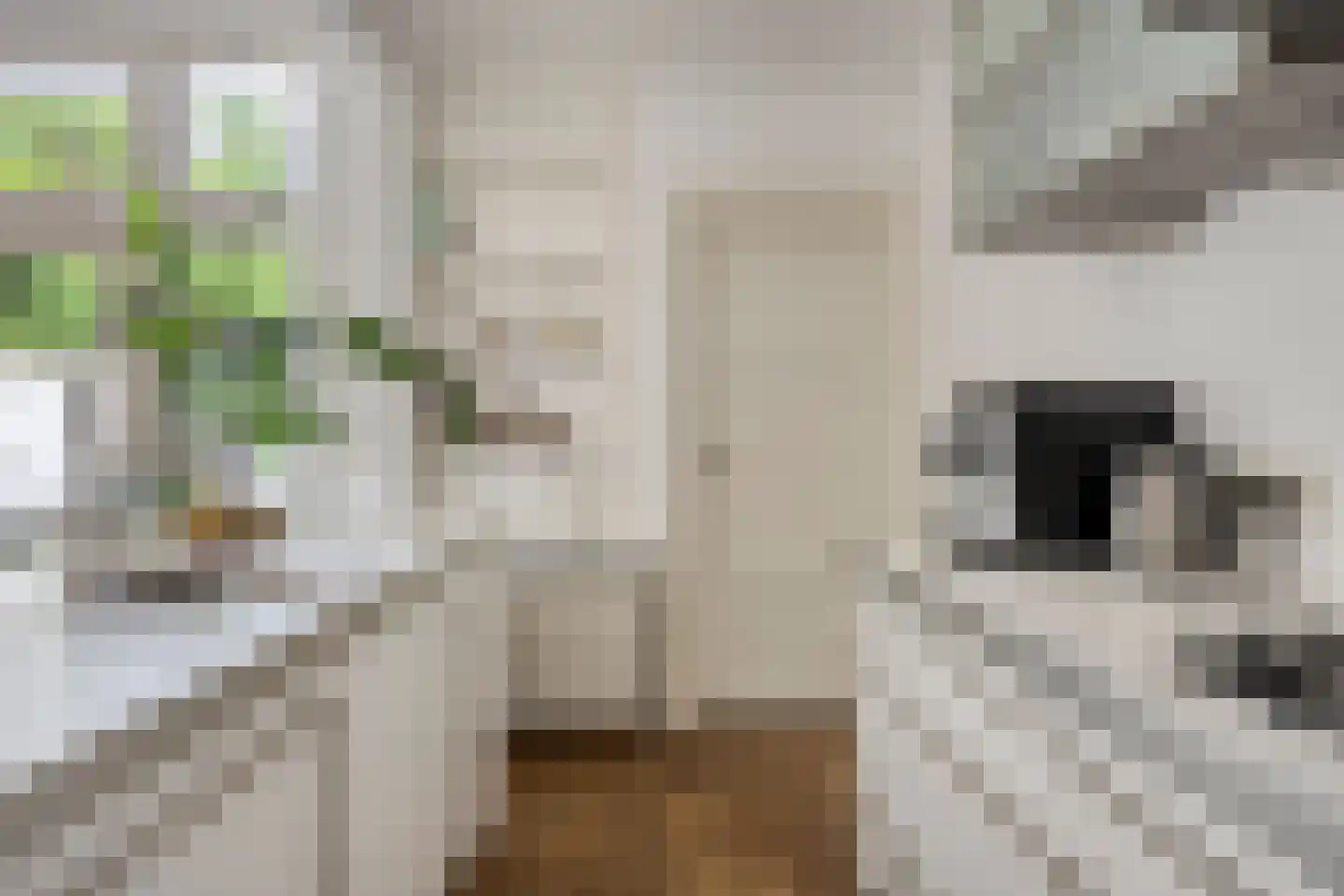 Ernst Casimirlaan 11 Groningen thumbnail 18