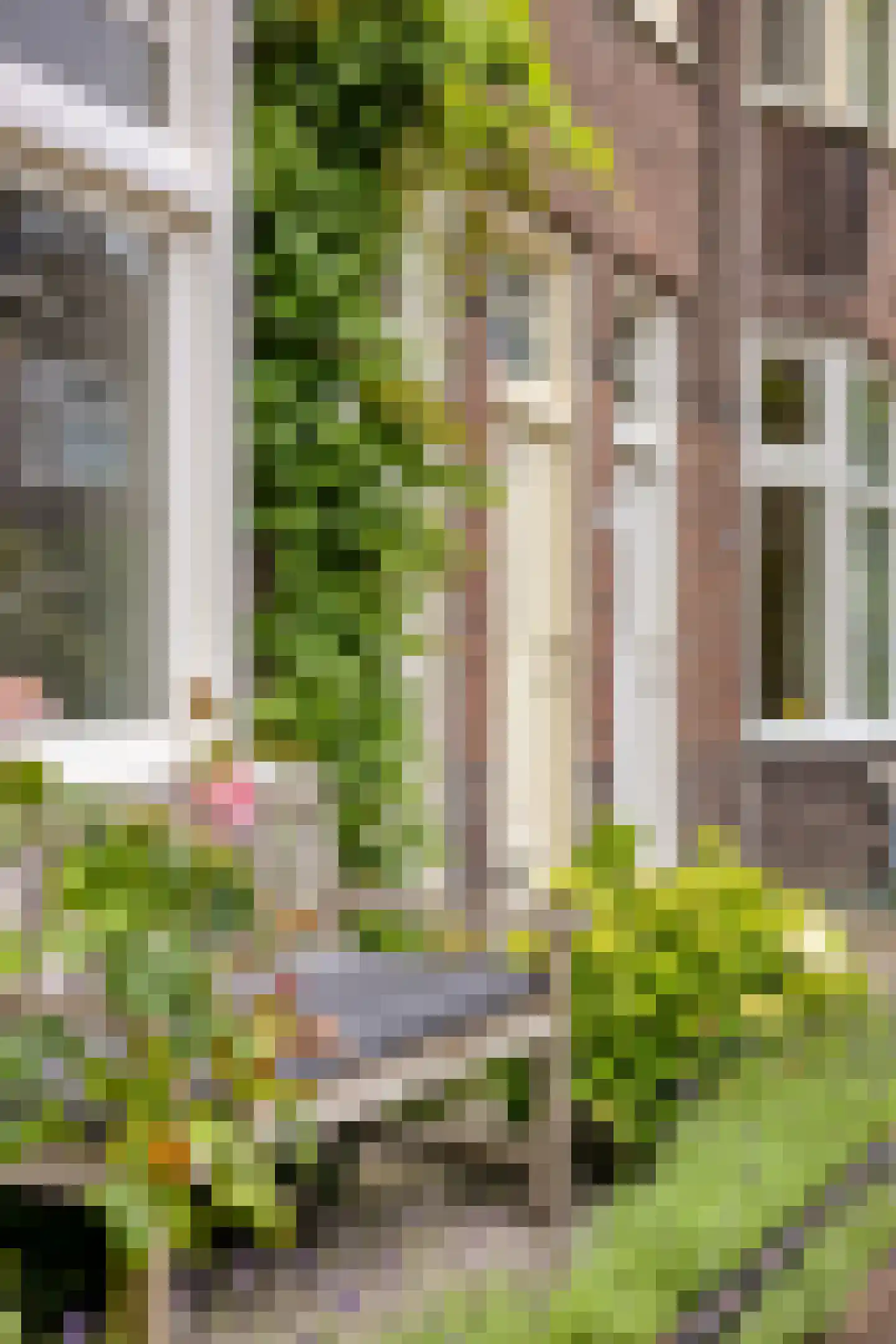 Ernst Casimirlaan 11 Groningen foto 2
