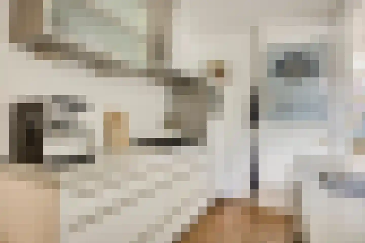 Ernst Casimirlaan 11 Groningen thumbnail 20