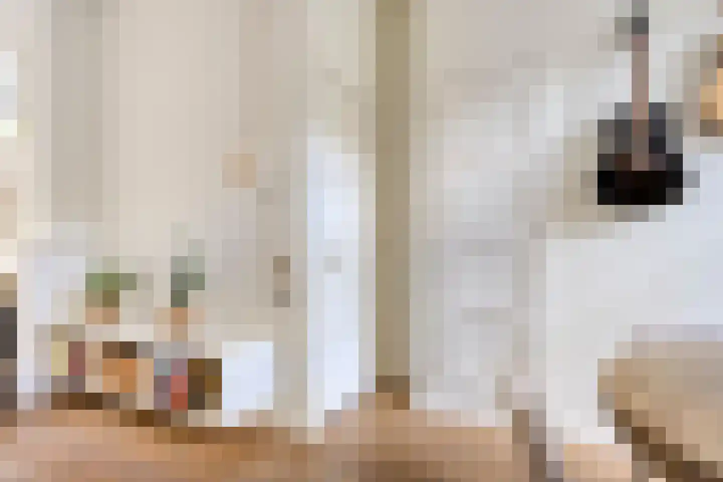 Ernst Casimirlaan 11 Groningen thumbnail 22