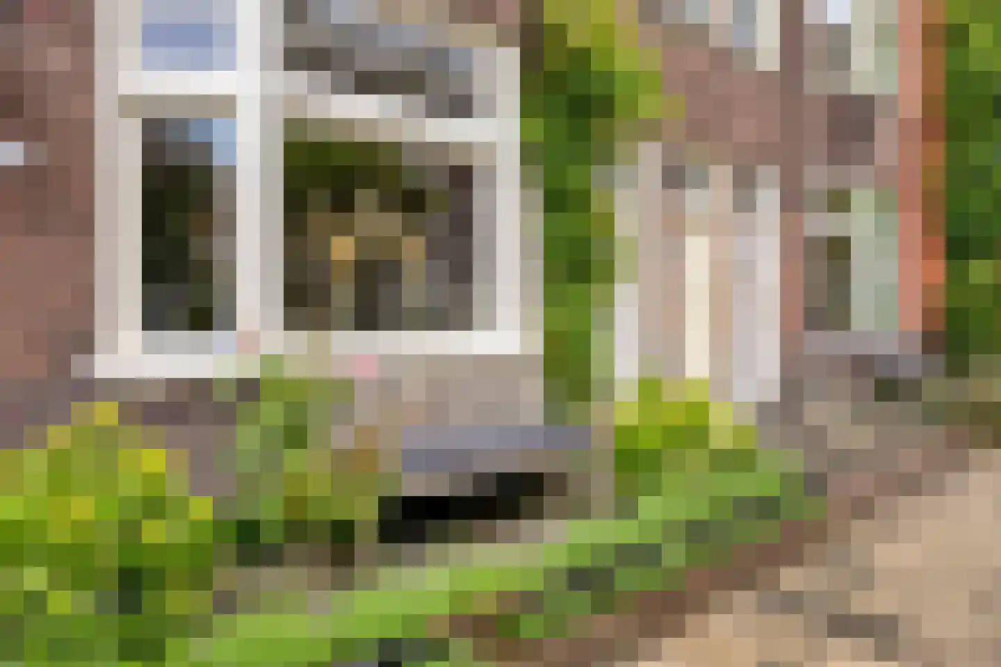 Ernst Casimirlaan 11 Groningen thumbnail 41