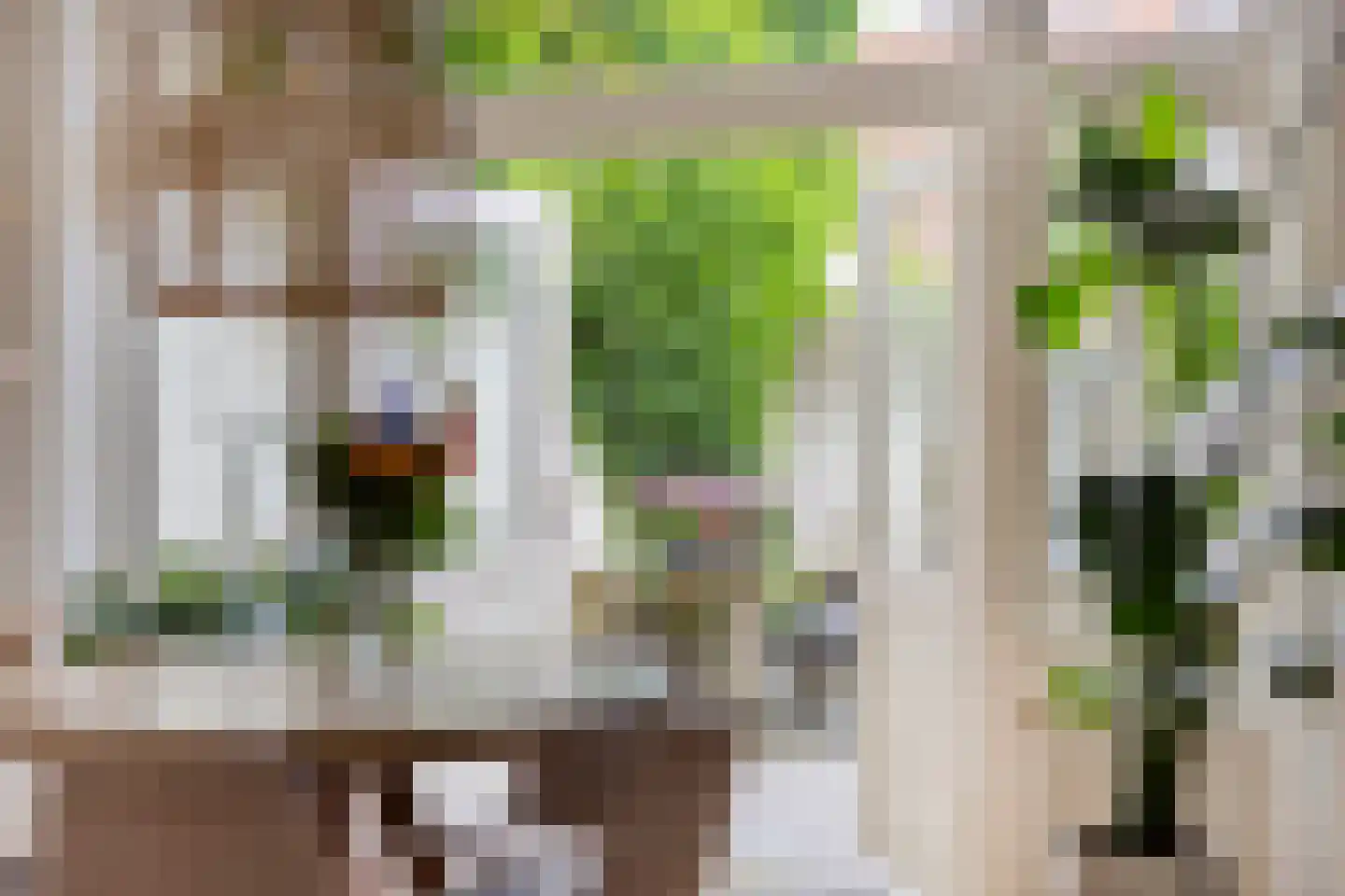 Ernst Casimirlaan 11 Groningen thumbnail 5