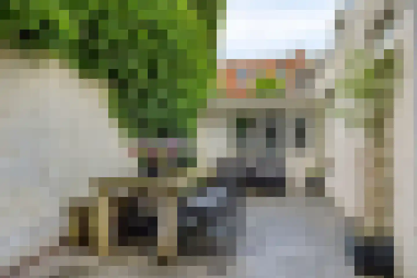 Ernst Casimirlaan 11 Groningen thumbnail 6