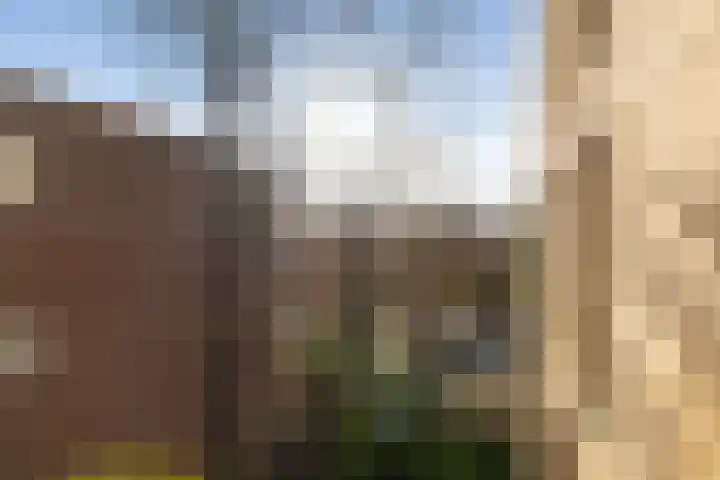 Ernst Casimirlaan 113 Ede thumbnail 9